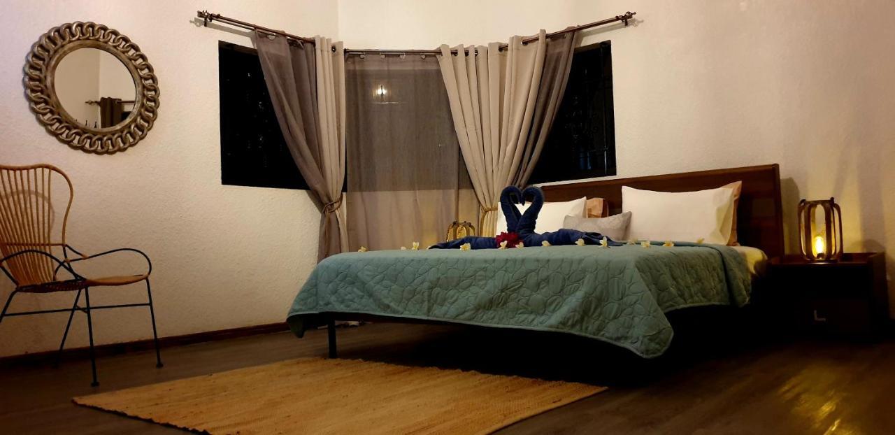 La Maison De La Plage Albion Dış mekan fotoğraf